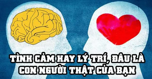 game trắc nghiệm - Tình cảm hay lí trí, đâu là con người thật của bạn?